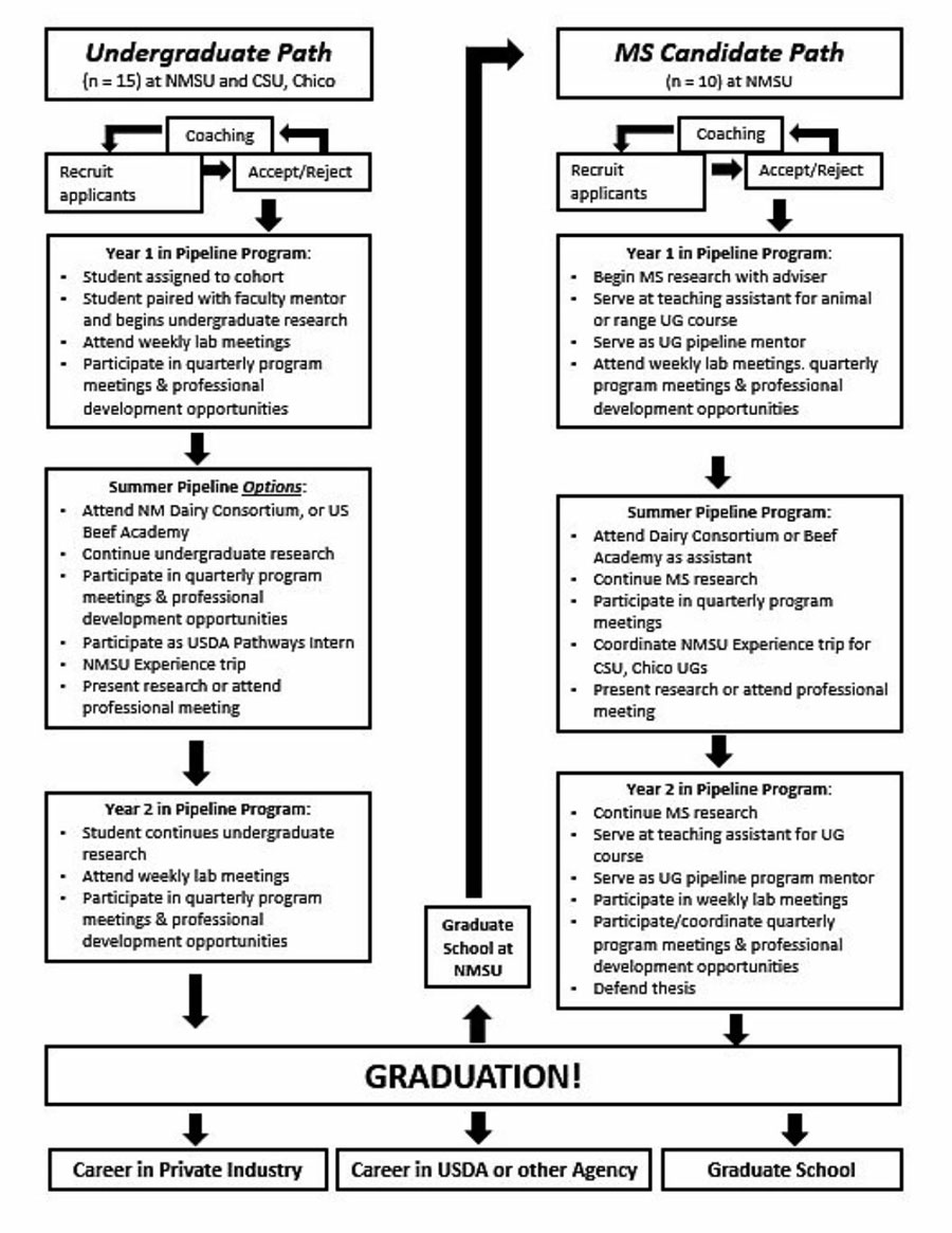 Image of flowchart