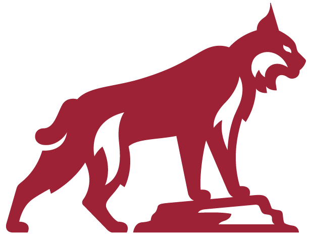 Chico Logo with a wildcat