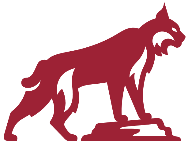 wildcat logo